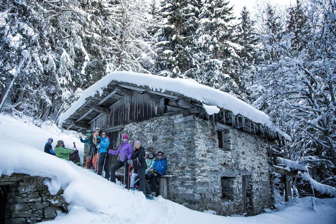 Skivillaroger Bagian luar foto
