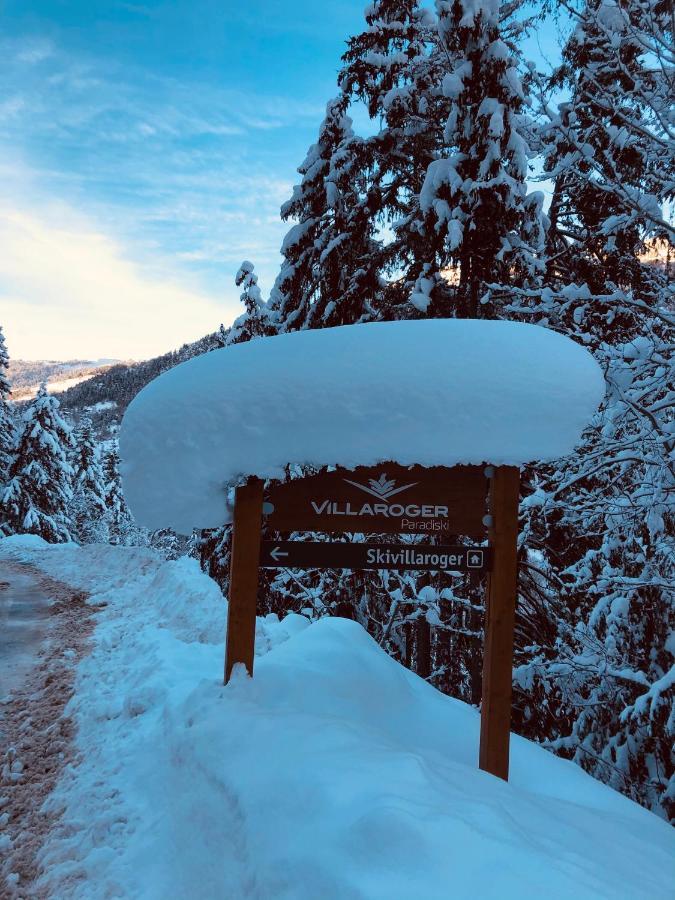 Skivillaroger Bagian luar foto